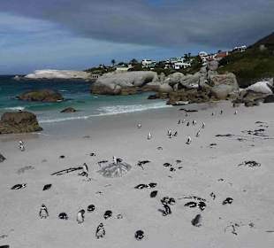 Boulders Beach