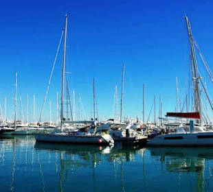 Hier noch die Kleinen