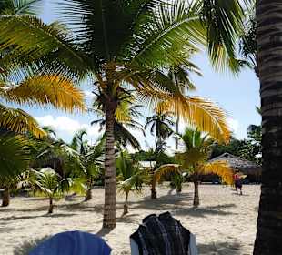 Ein herliches Plätzchen zum ausruhen