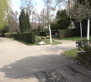 Alter Friedhof