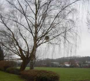 Bad Gandersheim