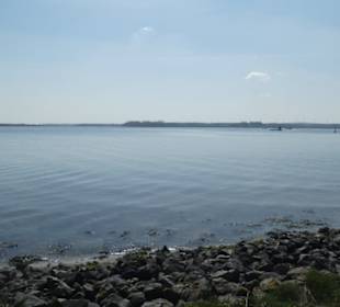 Eindrücke von unseren Priwallwanderungen