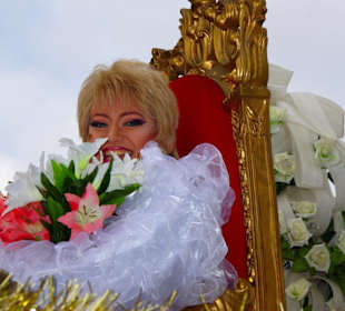Nürnberger Faschingsumzug 2012