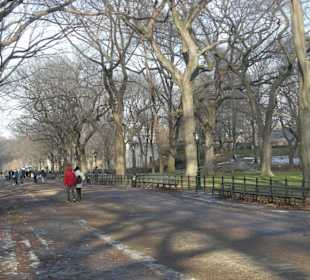 Central park