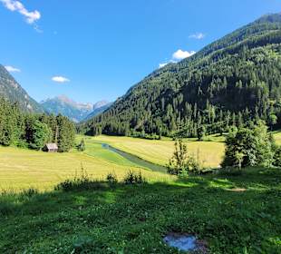 Blick vom Gasthof Tetter zum Tettermoor