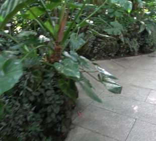Gewächshäuser Botanischer Garten