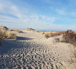 Strand Hollum/Ameland
