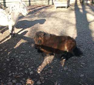 Zoo Liberec