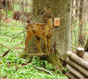 Tegernseer Höhenweg