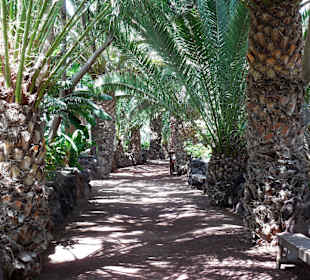 Schöne weg durch die Anlage