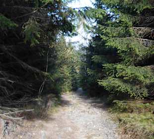 Riesengebirge/Karkonosze