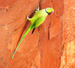An der Mauer des Grabmals