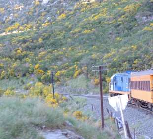 Mitder Taileri Railway durch die Natur Neuseelands
