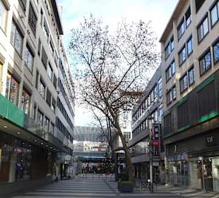 Altstadt Mannheim Quadratstadt