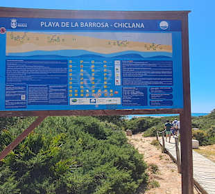 Strand La Barrosa in Novo Sancti Petri