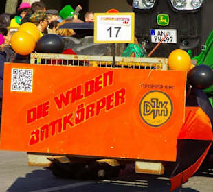 Nürnberger Faschingsumzug 2013