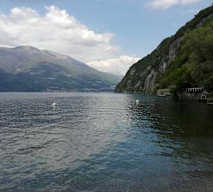 Como