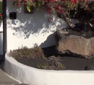 Fundacion Cesar Manrique