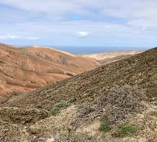 Stadtrundgang Jandia / Playa de Jandia