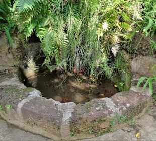 Rundgang durch den Jardin d´Eden