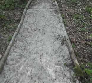 Barfußpfad Firstwald