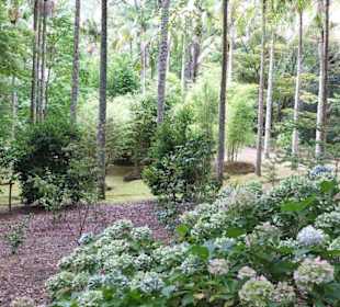 Park Terra Nostra