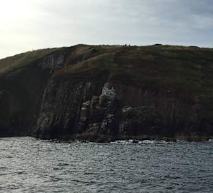 Dingle Bay