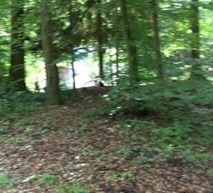 Schutzgebiet Spitzberg, Pfaffenberg