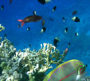 Alle wollten aufs Foto