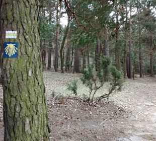 Embalse de Lublin