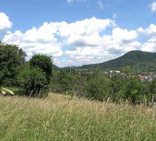 HAP Grieshaber Rundweg