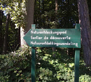 Kleine Luxemburger Schweiz bei Echternach