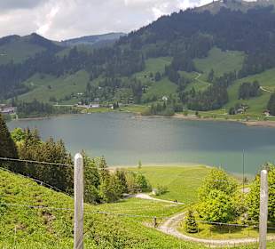 Wandern Schwarzsee