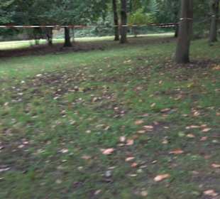 Schlosspark Charlottenburg