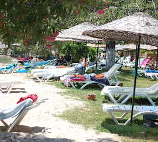 Lagune
