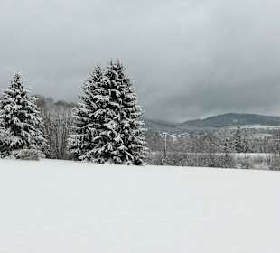 Unterwegs nach Rabenstein