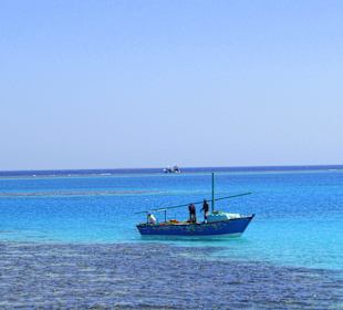 Bucht