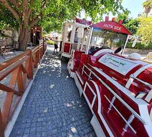 Transport