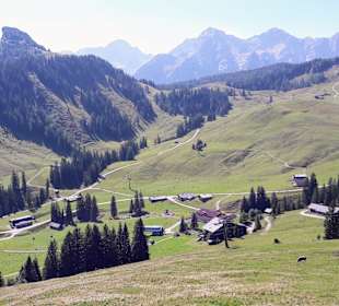 Loferer alm