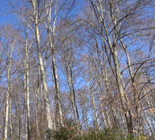 Naturerlebnispfad Meidelstetten