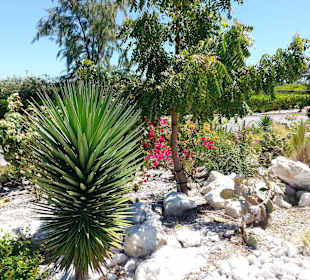 Tolle Gartenanlage in Cruise Terminal