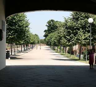 Die begehbare Stadtmauer