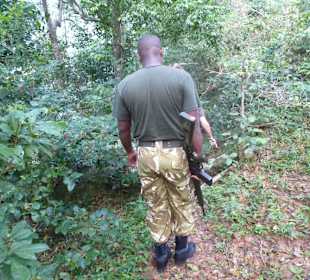 Fußpirsch mit DM Tours