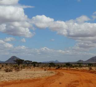 Tsavo