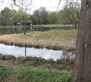 Schlossgarten Karlsruhe