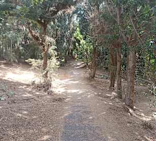 Wandern Playa de Esquinzo