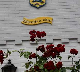 Rosen in der Altstadt