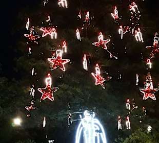 Stadtrundgang Sesimbra