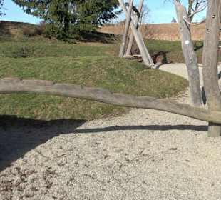 Spielplatz Weiherwiesen