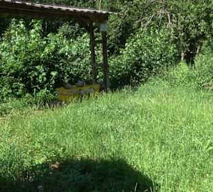 Eduard Lucas Musterobstgarten Mähringen